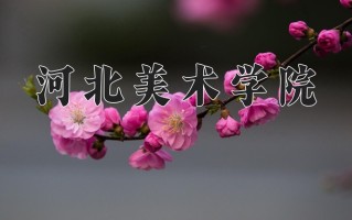 河北美术学院最厉害的专业-2024河北美术学院最好专业