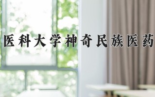 2024年贵州医科大学神奇民族医药学院招生章程，附办学层次和录取规则