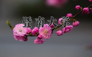 暨南大学最厉害的专业-2024暨南大学最好专业