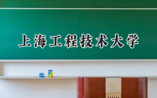 上海工程技术大学2024在上海录取分数线是多少？最低244分/最高490分