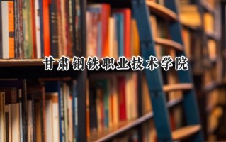 甘肃钢铁职业技术学院2024在青海录取分数线是多少？最低251分/最高322分