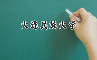 大连民族大学2024在内蒙古录取分数线是多少？最低424分/最高542分