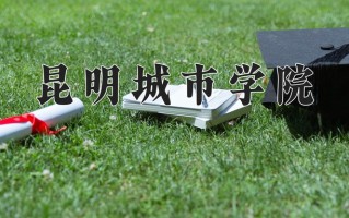 昆明城市学院最厉害的专业-2024昆明城市学院最好专业