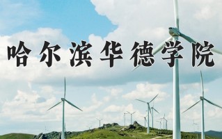 2024年哈尔滨华德学院招生章程，附办学层次和录取规则