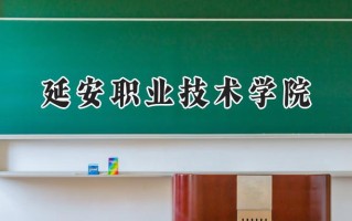 2024延安职业技术学院录取分数线：山西最低305分
