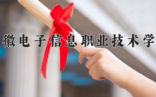2024年安徽电子信息职业技术学院招生章程，附办学层次和录取规则