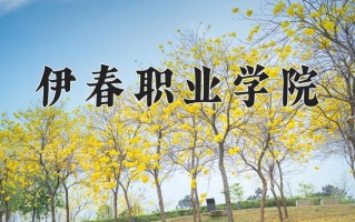 2024年伊春职业学院招生章程，附办学层次和录取规则