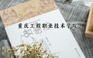 重庆工程职业技术学院2024在青海录取分数线是多少？最低293分/最高376分