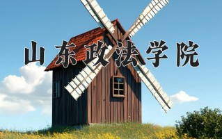 2025年山东政法学院在四川计划招生人数（附学费及专业录取分)