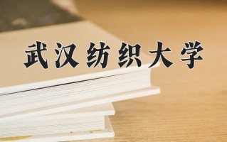 2025年武汉纺织大学在河南计划招生人数（附学费及专业录取分)