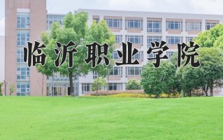2025年临沂职业学院在新疆计划招生人数（附学费及专业录取分)