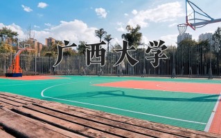 陕西539分能上什么大学？附2025年可以报考的大学名单