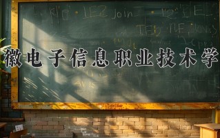 2025年安徽电子信息职业技术学院在河南计划招生人数（附学费及专业录取分)