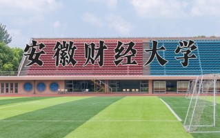 2025年安徽财经大学在新疆计划招生人数（附学费及专业录取分)