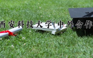2025年西安科技大学(中外合作)在四川计划招生人数（附学费及专业录取分)