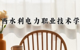广西水利电力职业技术学院一年学费多少钱及各专业的收费标准(2025参考）