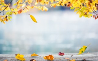 霜降适合吃的食物有哪些？专家推荐应季水果、蔬菜和温补食材