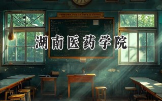 2024湖南医药学院录取分数线：天津最低538分