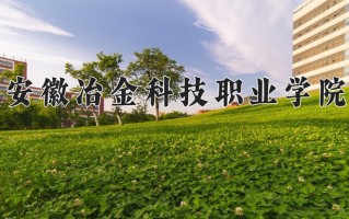 2025年安徽冶金科技职业学院在河南计划招生人数（附学费及专业录取分)