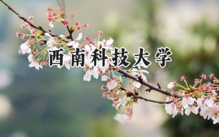 西南科技大学2024在青海录取分数线是多少？最低408分/最高478分