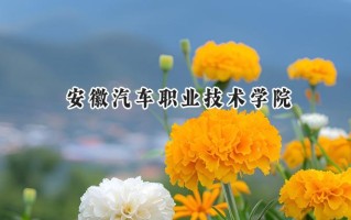 2024安徽汽车职业技术学院录取分数线：山西最低318分