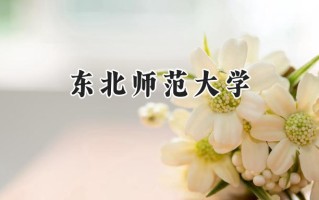 东北师范大学2024在青海录取分数线是多少？最低462分/最高519分