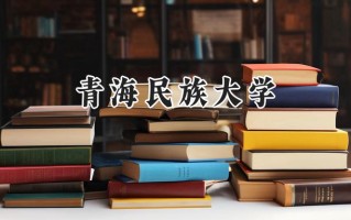 青海民族大学2024在山东录取分数线是多少？最低460分/最高536分