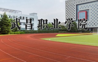 2025年武昌职业学院在河南计划招生人数（附学费及专业录取分)