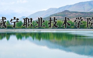 2024年咸宁职业技术学院招生章程，附办学层次和录取规则