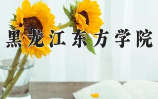 2024年黑龙江东方学院招生章程，附办学层次和录取规则