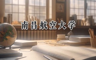 2024南昌航空大学录取分数线：天津最低542分