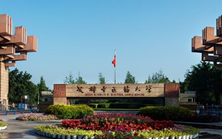2023年成都中医药大学中外合作分数线（附专业录取最低分）