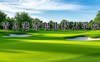 2025年青岛港湾职业技术学院在四川计划招生人数（附学费及专业录取分)