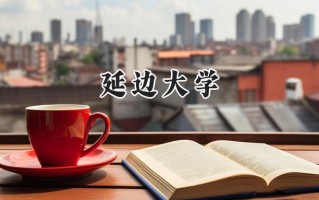 延边大学2024在新疆录取分数线是多少？最低422分/最高467分