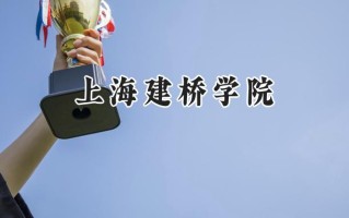 2024上海建桥学院录取分数线：陕西最低433分