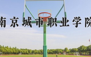 南京城市职业学院一年学费多少钱及各专业的收费标准(2025参考）