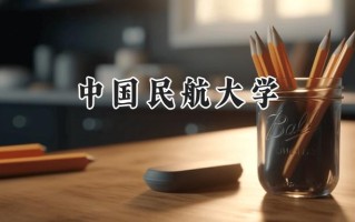 中国民航大学2024在新疆录取分数线是多少？最低446分/最高518分