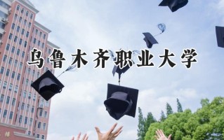 2024乌鲁木齐职业大学录取分数线：陕西最低307分