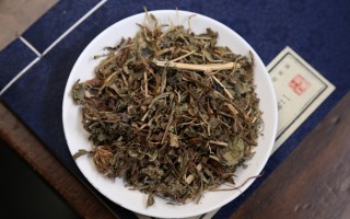 蒲公英根搭配指南 什么搭配泡水最好