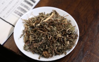 蒲公英用根还是叶子好？功效差异大揭秘